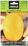 Batlle Gemüsesamen - Gelbe Honigmelone Canario (280 Samen)