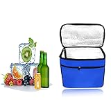 HIQE-FL Kühltasche Faltbar,10L Picknicktasche Kühltasche,Thermotasche Klein,Isoliertasche Lunch,Kühltasche Eistasche,Lunch Tasche,Kühlbox für Picknick (Blau)