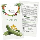 Zucchini Samen: Premium Zucchini Saatgut für die Anzucht von ca. 5 Zucchini Pflanzen – Samenfeste Gemüse Samen – Samen Gemüse – Gemüse Pflanzen Samen für Gemüse Anzucht – Gemüse Saatgut von OwnGrown…