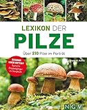 Lexikon der Pilze - Über 210 Pilze im Porträt: Essbar oder giftig? Typische Doppelgänger im Vergleich