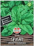 Premium Spinat Matador | Schoßfeste Sorte | Ertragreich Vitaminreich und Schnellwüchsig | Samenfestes Saatgut | ca. 800 Spinat Samen