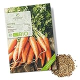 BIO Karotten Samen (Early Nantes, 500 Korn) - Möhren Saatgut aus biologischem Anbau ideal für die Anzucht im Garten, Balkon oder Terrasse