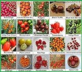 Tomaten Set 2 : TOP Qualität Saatgut aus Deutschland, 20 Sorten, Ohne Gentechnik, 100% samenfest, Tomate Fleischtomate Cherrytomate, Sammlung von Raritäten