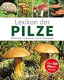 Lexikon der Pilze: Bestimmung, Verwendung, typische Doppelgänger: Über 210 Pilze im Porträt